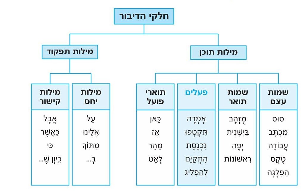 (בספר תמונה של תרשים )